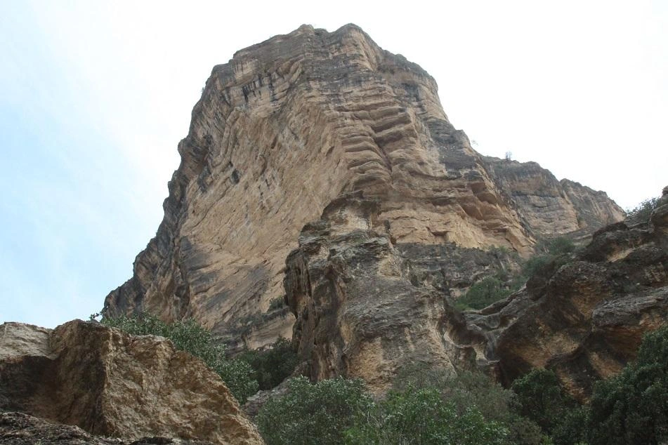 Selected Image