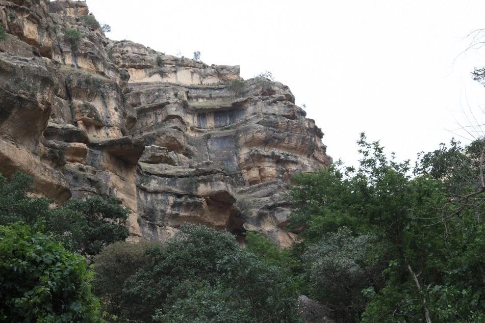 Selected Image