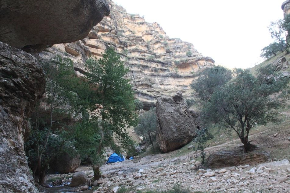 Selected Image