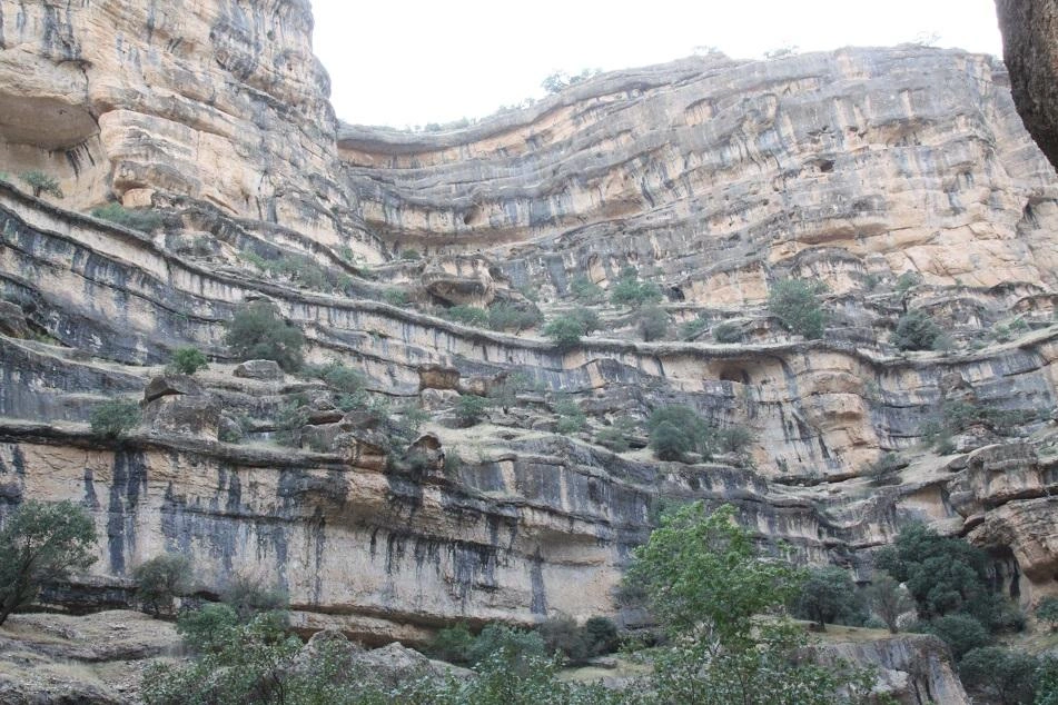 Selected Image