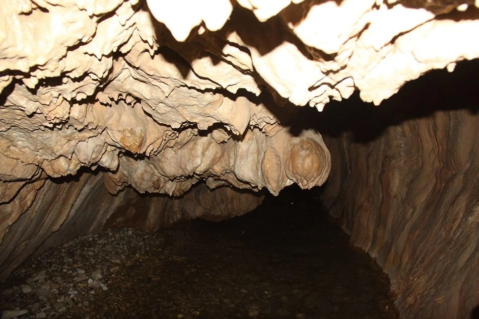 Selected Image