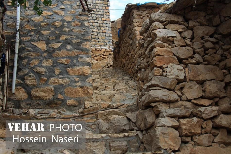 Selected Image