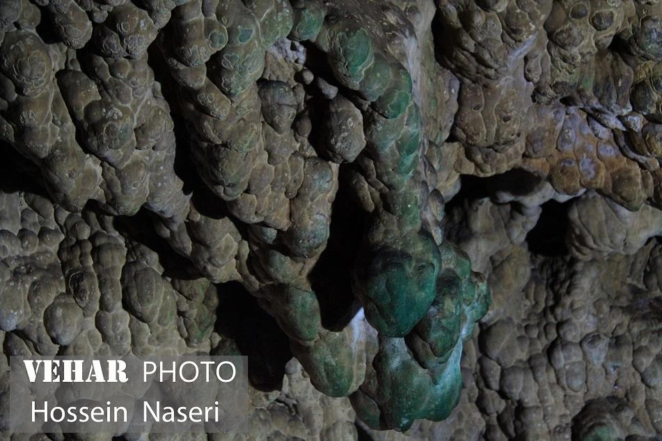 Selected Image