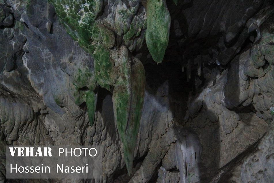 Selected Image