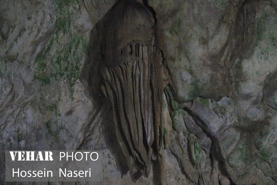 Selected Image