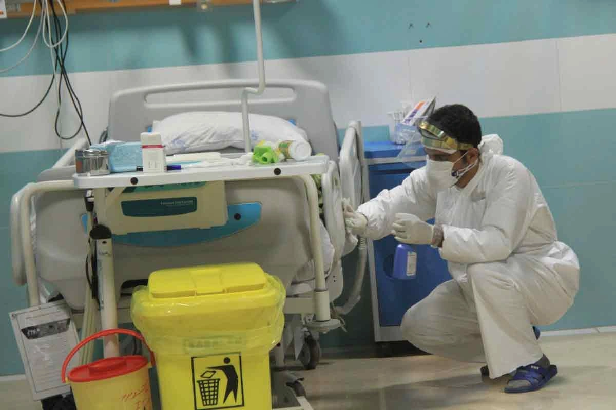 Selected Image