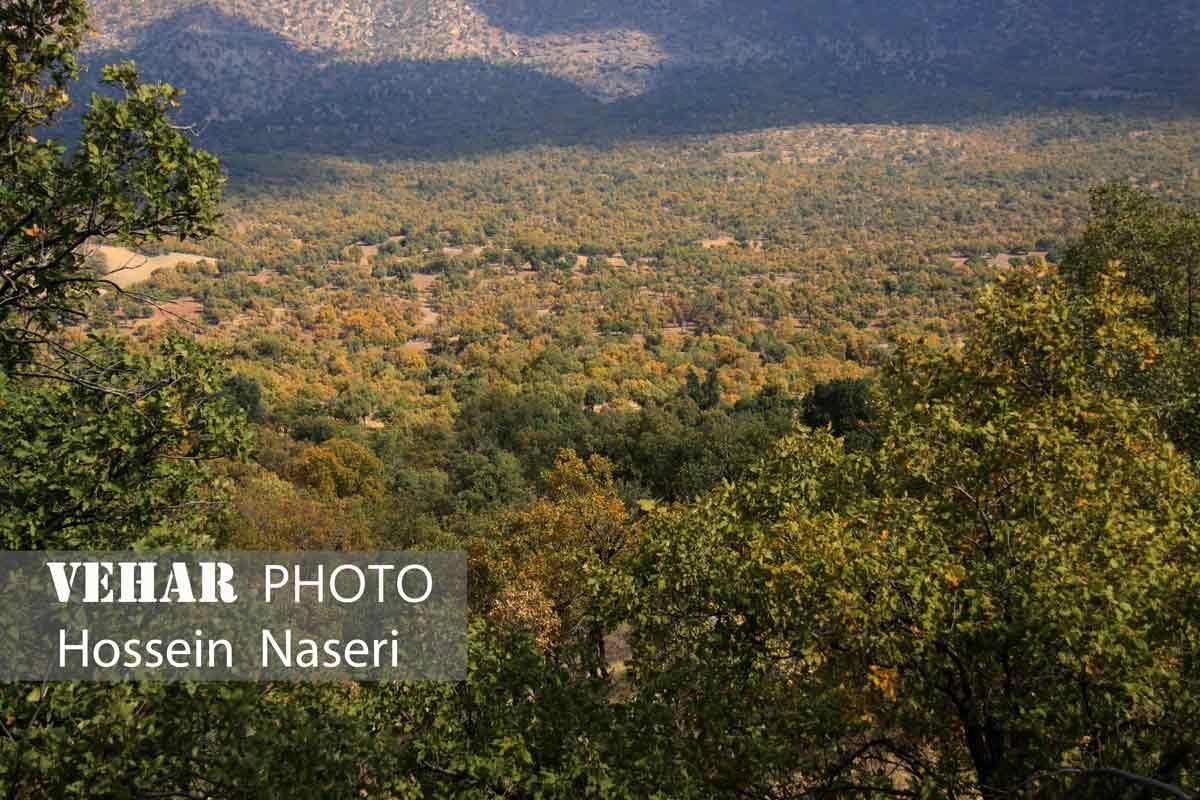 Selected Image