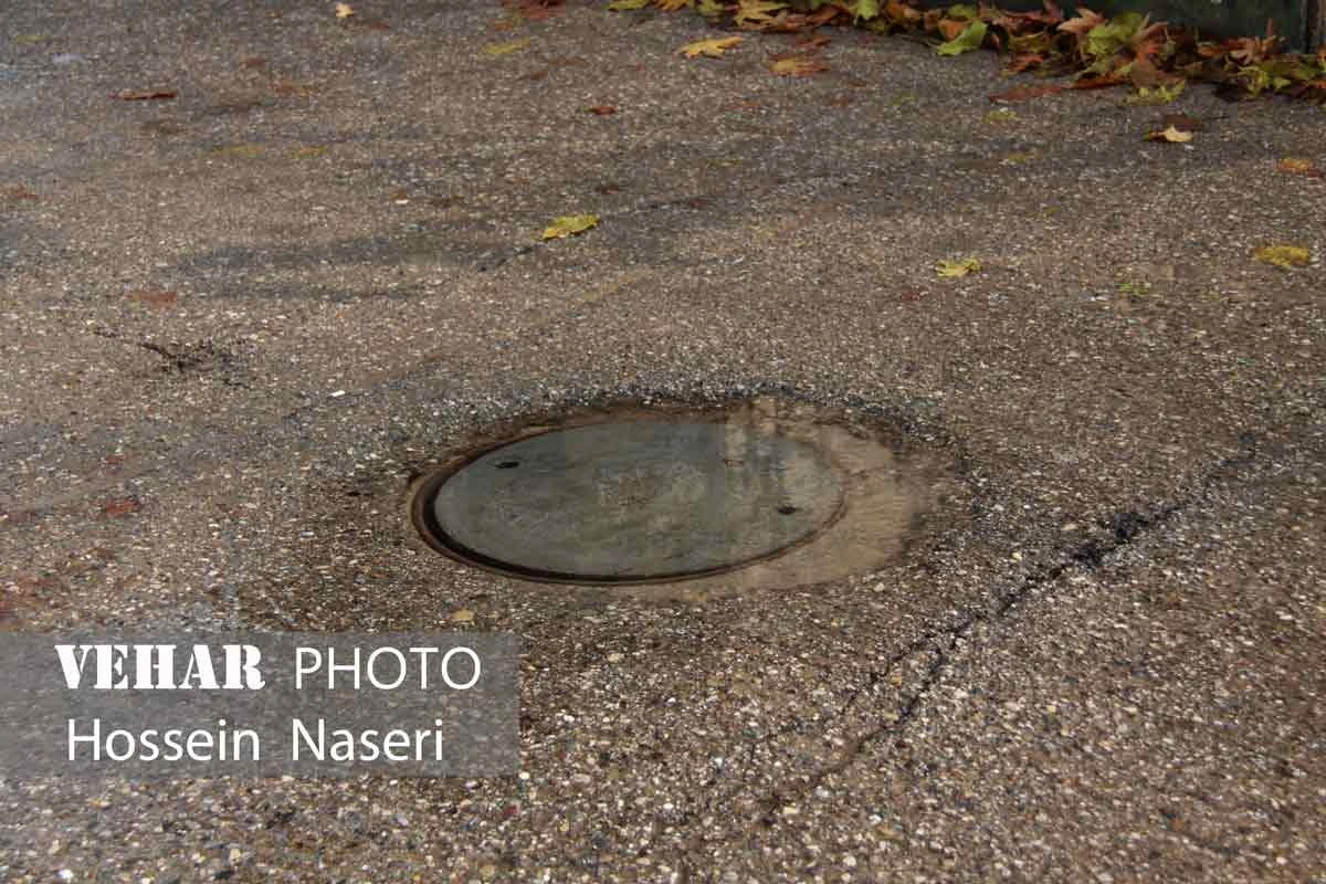 Selected Image