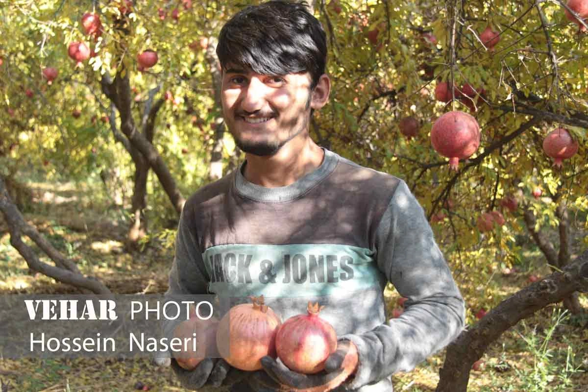 Selected Image