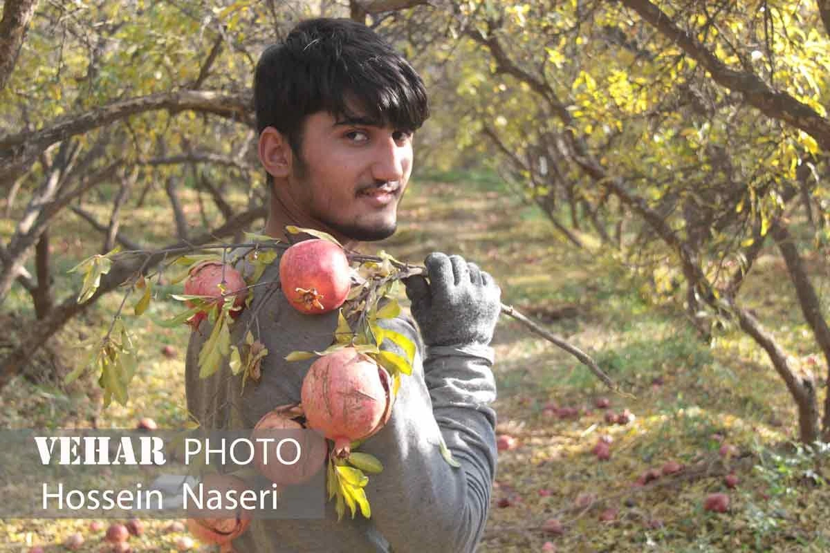 Selected Image