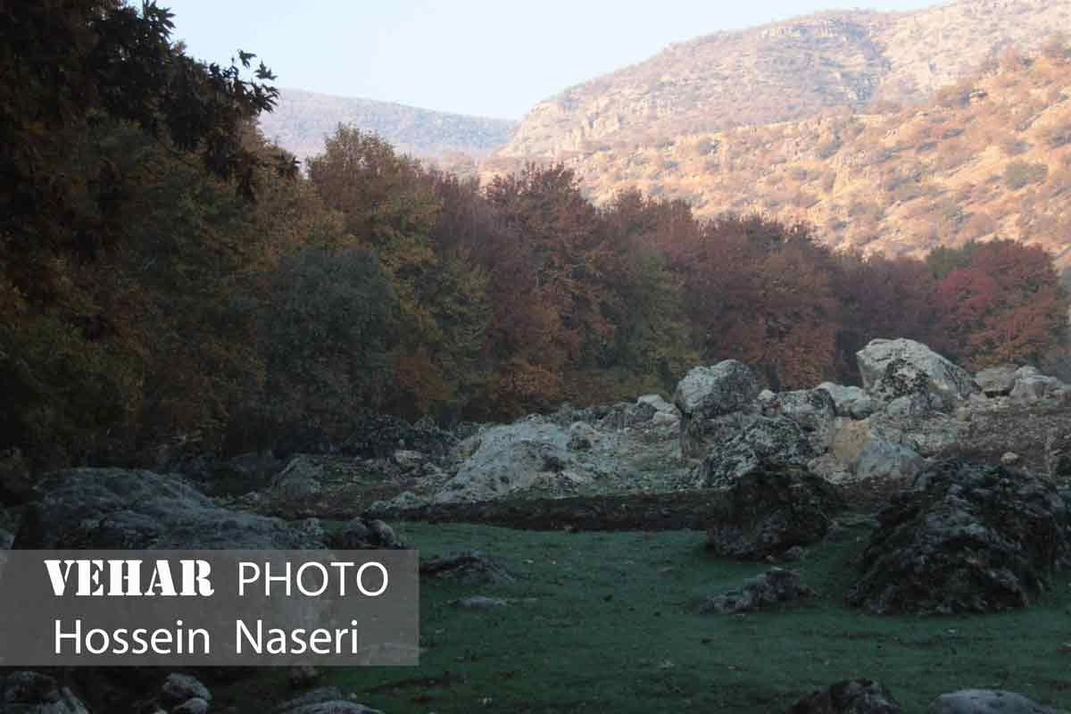 Selected Image