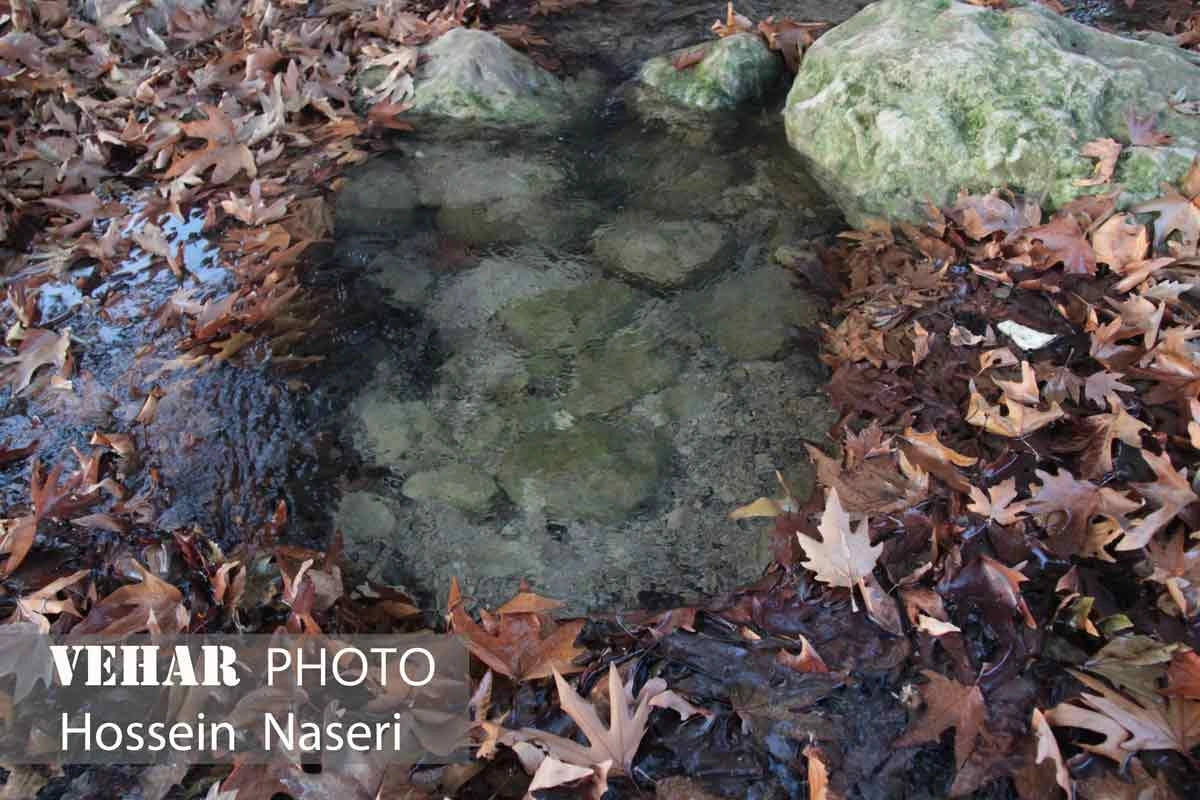 Selected Image