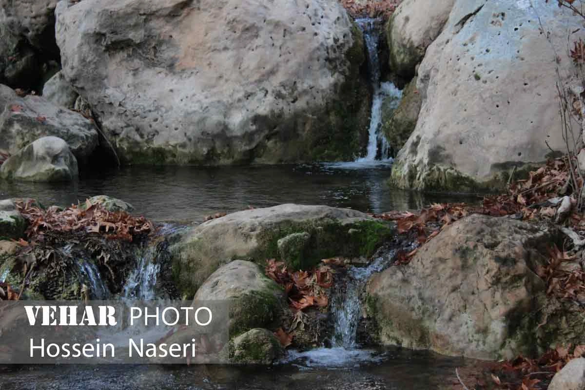 Selected Image