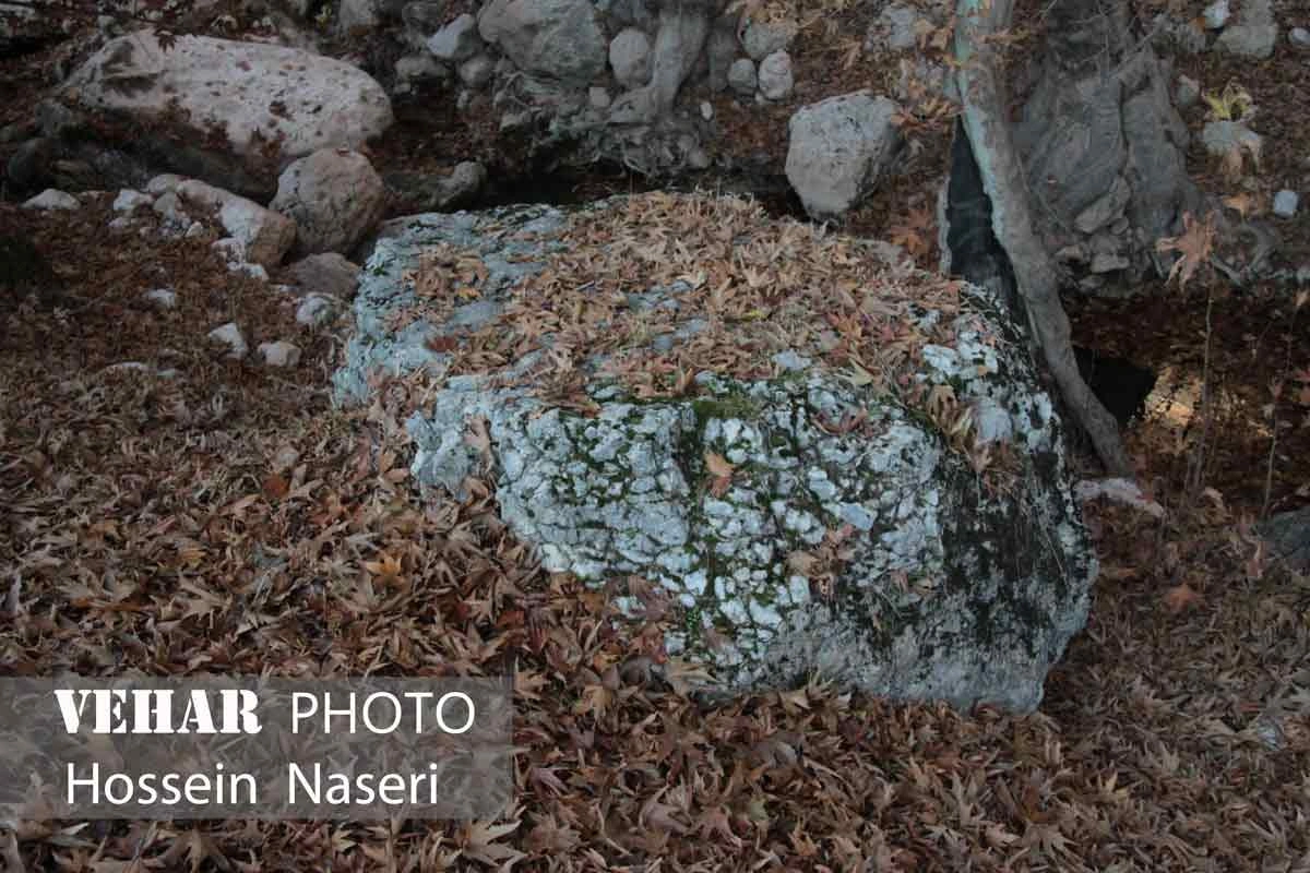 Selected Image