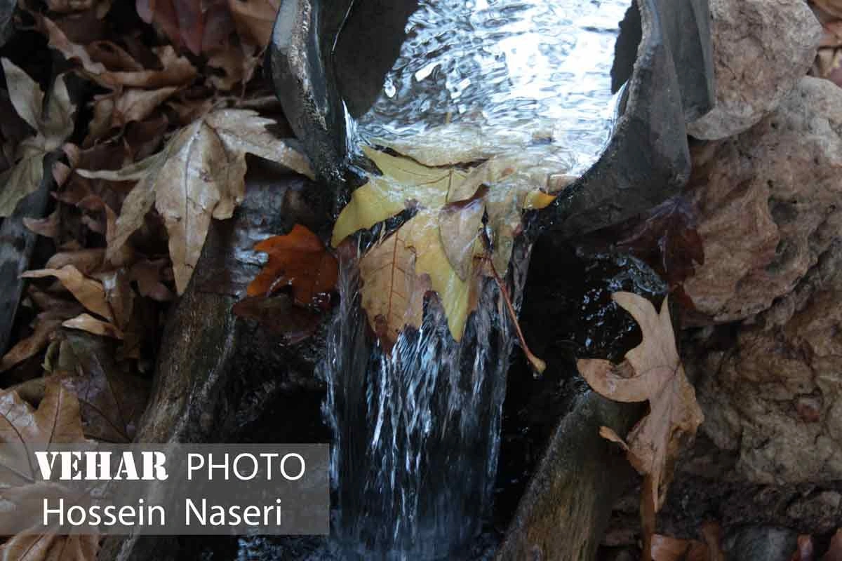 Selected Image