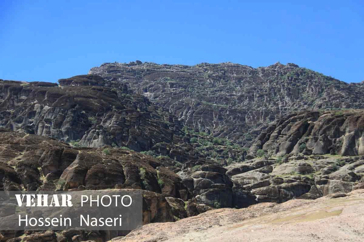 Selected Image