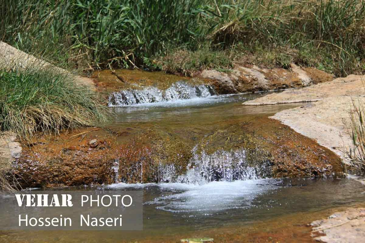 Selected Image