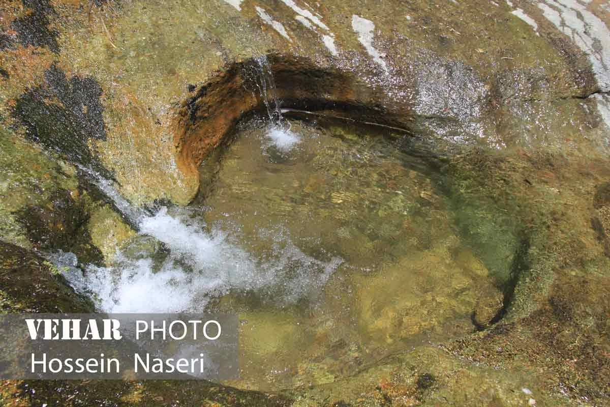 Selected Image