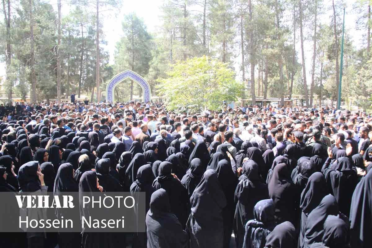 Selected Image